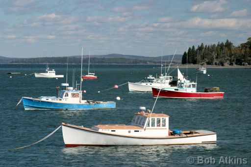 bar_harbor_CRW_0448 (1).JPG   -   Lobster boats tied up in the Bar Harbor harbor